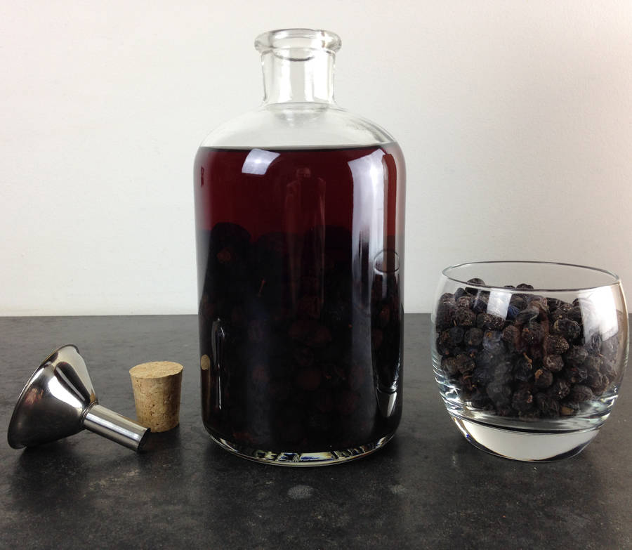 make your own sloe gin kit by the little kit company