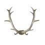 Sven Antler Wall Art, thumbnail 2 of 3