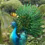 Light Up Metal Garden Peacock, thumbnail 1 of 9