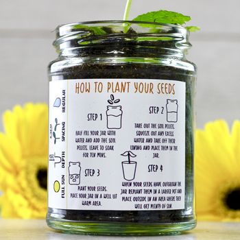 Personalised 'Don't Kill Me' Sunflower Jar Grow Kit, 8 of 12