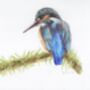 Set Of Five Wildlife Cards Blank Notecards, thumbnail 2 of 5