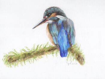 Set Of Five Wildlife Cards Blank Notecards, 2 of 5