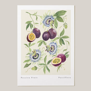 Passion Fruit Art Print, 5 of 6