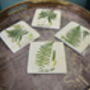Fern Coasters Set Of Four Table Protectors Plant Lover, thumbnail 3 of 6