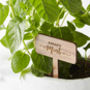 Personalised Wooden Plant Marker, thumbnail 1 of 3