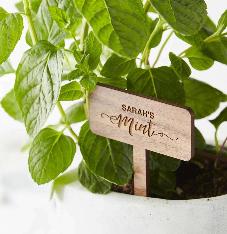 Personalised Wooden Plant Marker, 1 of 3