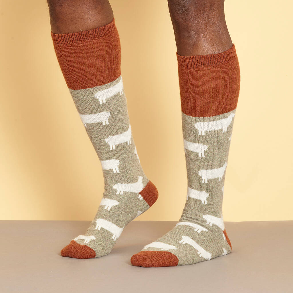 Men's Soft Lambswool Socks Animals By Catherine Tough