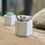 Small Hexagon Plant Pot Choice Of Succulent Or Cacti, thumbnail 4 of 6