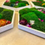 Hexagonal Moss Wall Art, Honeycomb Moss Wood Hexagon, thumbnail 8 of 12