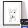 Personalised Pet Portrait Drawings, thumbnail 8 of 11