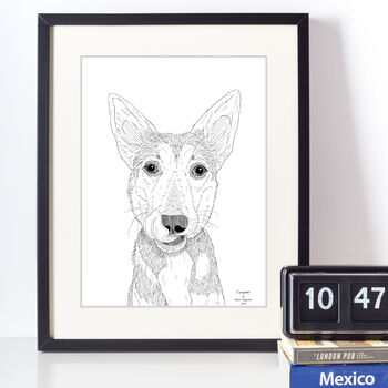 Personalised Pet Portrait Drawings, 8 of 11