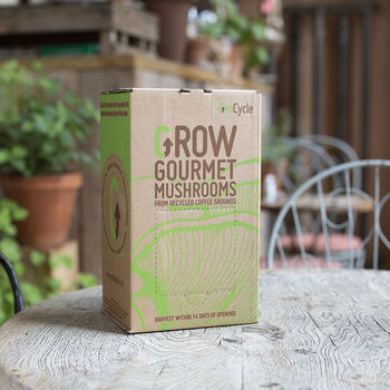 Grow Your Own Mushrooms Kit, 2 of 6