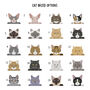 Personalised Cat Adventures Pop Out Photo Box, thumbnail 5 of 10