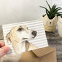 Dog Mini Notecards Set, thumbnail 2 of 9
