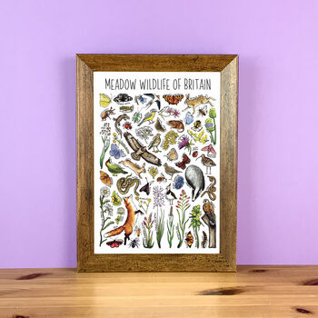 Meadow Wildlife Of Britain Greeting Card, 8 of 8