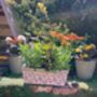 Aged Blue And White Ceramic Rectangular Planter – 40cm, thumbnail 2 of 5