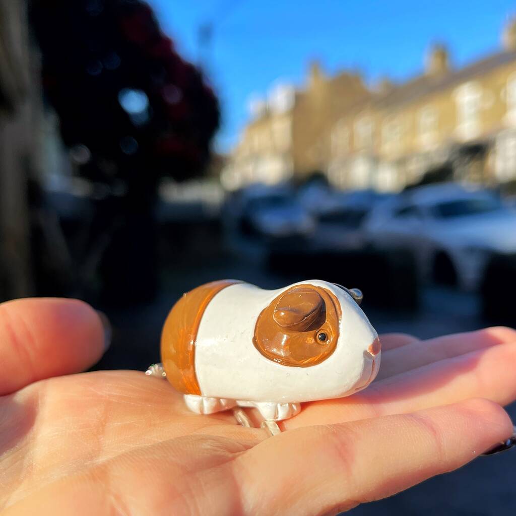 Guinea Pig Keepsake Ornament With Gift Box, 1 of 7