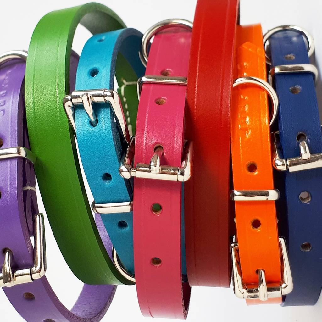 Classic Leather Dog Collar By Annrees 