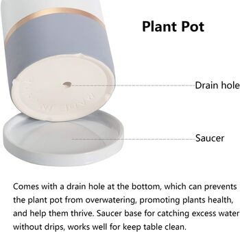 Indoor Grey Ceramic Plants Flower Planter Pot, 5 of 9