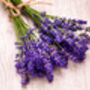 Lavender Plants 'Hidcote' In A One Litre Pot, thumbnail 2 of 10