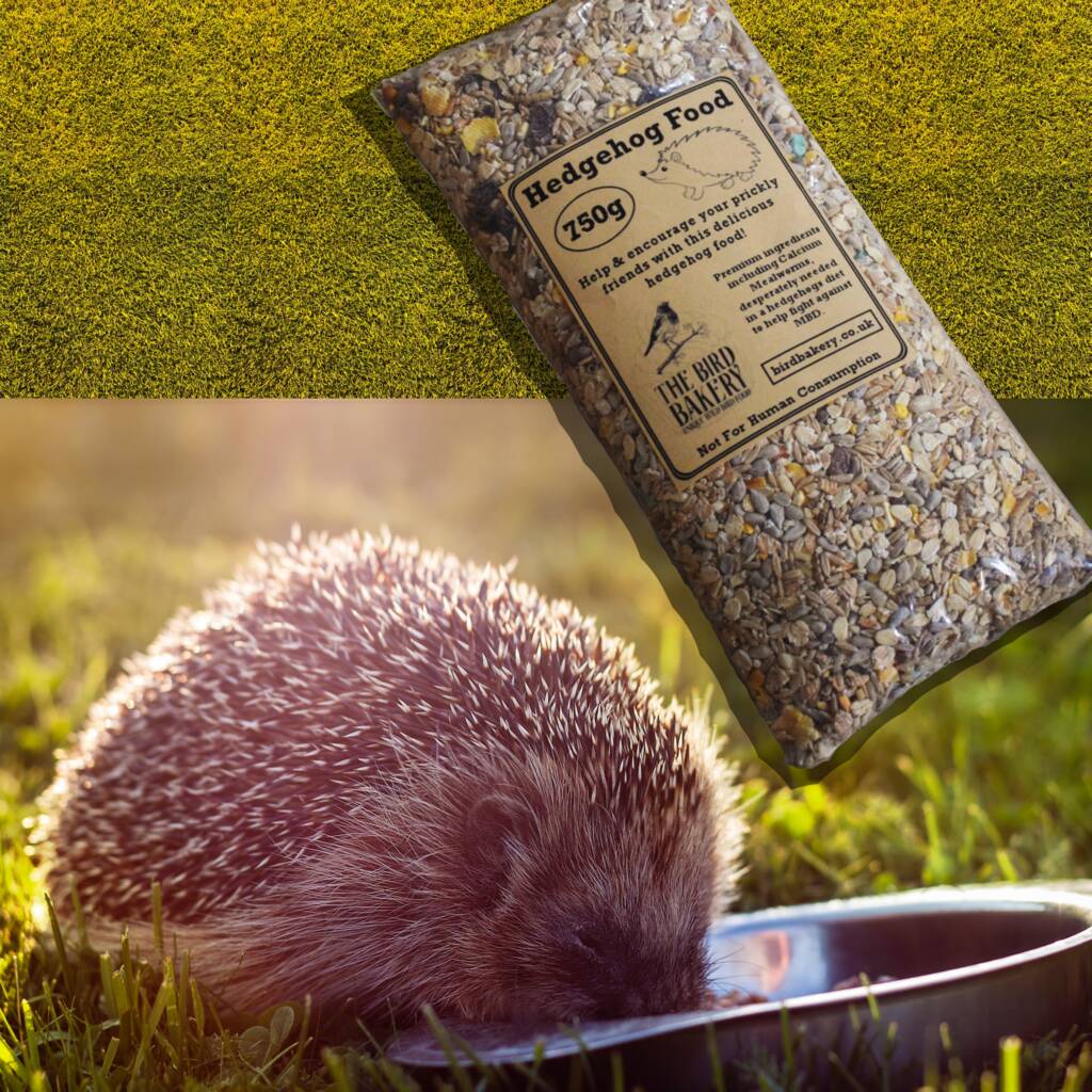 Wild Hedgehog Food 750g By The Bird Bakery