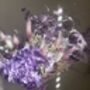 Purple Hydrangea Dried Flower Bouquet, thumbnail 10 of 10