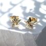 9ct Yellow Gold Star Stud Earrings, thumbnail 1 of 3