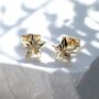 9ct Yellow Gold Christmas Star Stud Earrings, thumbnail 1 of 3