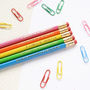 Colourful Animal Nouns Pencil Set, thumbnail 2 of 3