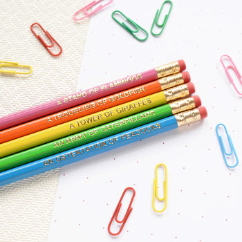 Colourful Animal Nouns Pencil Set, 2 of 3