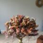 Pastel Meadow Dried Flower Bouquet, thumbnail 5 of 5