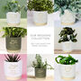 Personalised Couples Indoor Plant Pot, thumbnail 4 of 6