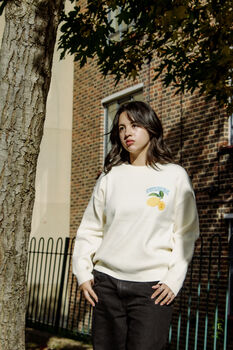 Cream Lemon Embroidered Knit Jumper, 2 of 8