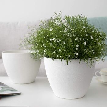 Pack Of Two Minimalist Planters With Drainage Holes, 5 of 10