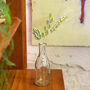Sweet Vernal Grass Stained Glass Wildflower, thumbnail 6 of 7