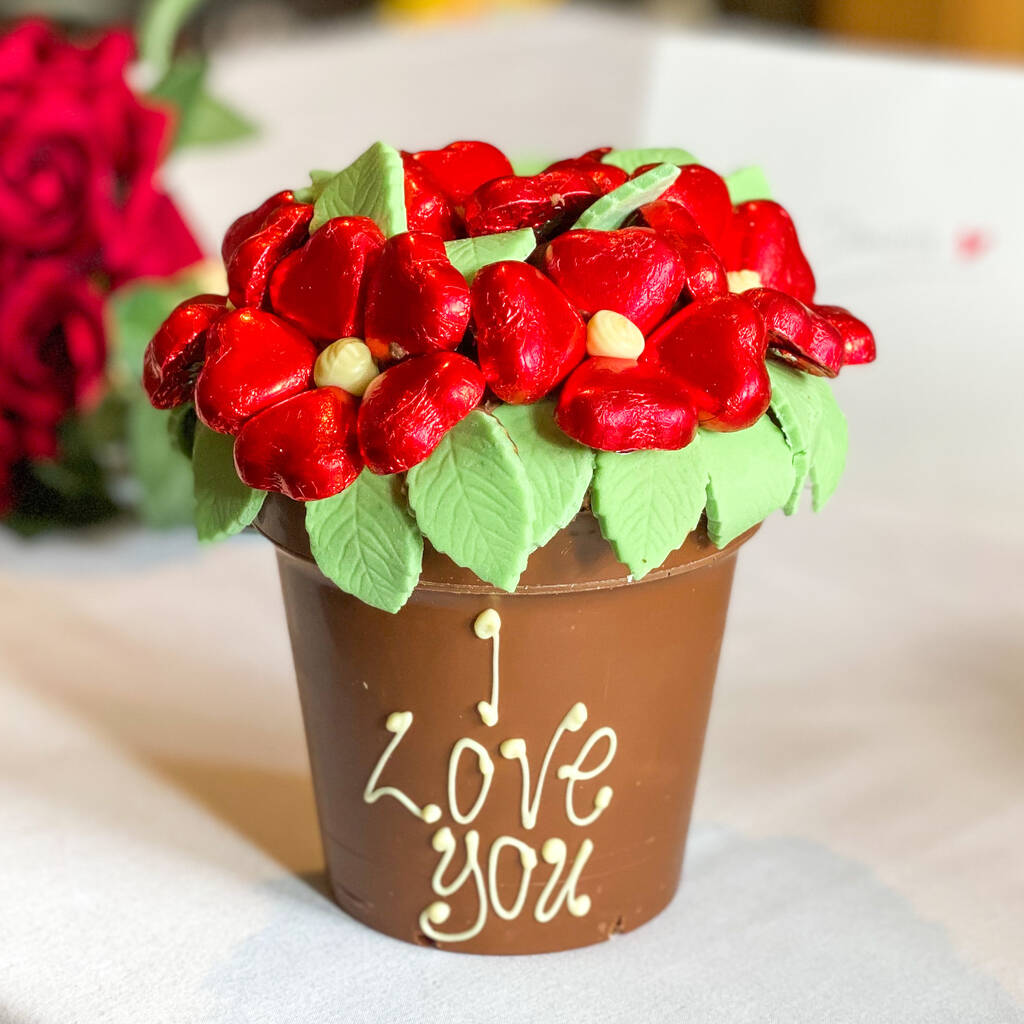 Belgian Chocolate Smash Flower Pot Red, 1 of 8