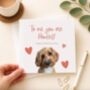 Personalised Pet Valentine Card, thumbnail 1 of 7