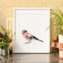Inky Jay Bird Illustration Print, thumbnail 11 of 11