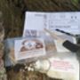 Shiitake Mushroom Log Dowel Kit, Gift Voucher Option, thumbnail 8 of 8