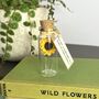 Tiny Sunflower In A Bottle With Personalised Message, thumbnail 9 of 12