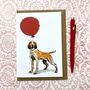 Bracco Italiano Birthday Card, thumbnail 1 of 3