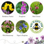 Love Bees Gardeners Gift Bundle, thumbnail 11 of 12