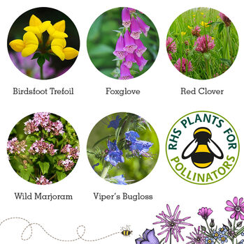 Love Bees Gardeners Gift Bundle, 11 of 12