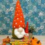 Large Pumpkin Nordic Gnomes Needle Felting Craft Kit, thumbnail 1 of 2