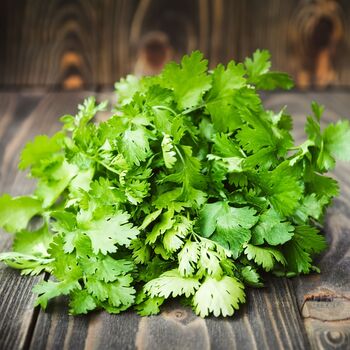 Herb Plants Coriander Six X Plug Plant Pack, 2 of 5