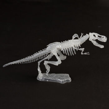 Glow In The Dark Dinosaur Skeleton Kit, 6 of 9