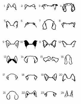 Personalised Metal Dog Ears Keychain, 3 of 3