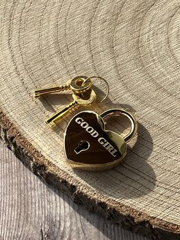 Engraved Pet Name Heart Padlock Dog Tag, 8 of 8