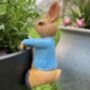 Rabbit Pot Hanger, thumbnail 6 of 6
