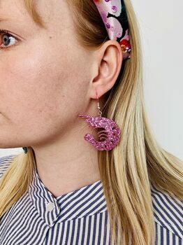 Pink Shrimp Glitter Earrings / Seaside Jewellery / Gift For Seafood Lovers / Funny Prawn Statement Gift, 6 of 6